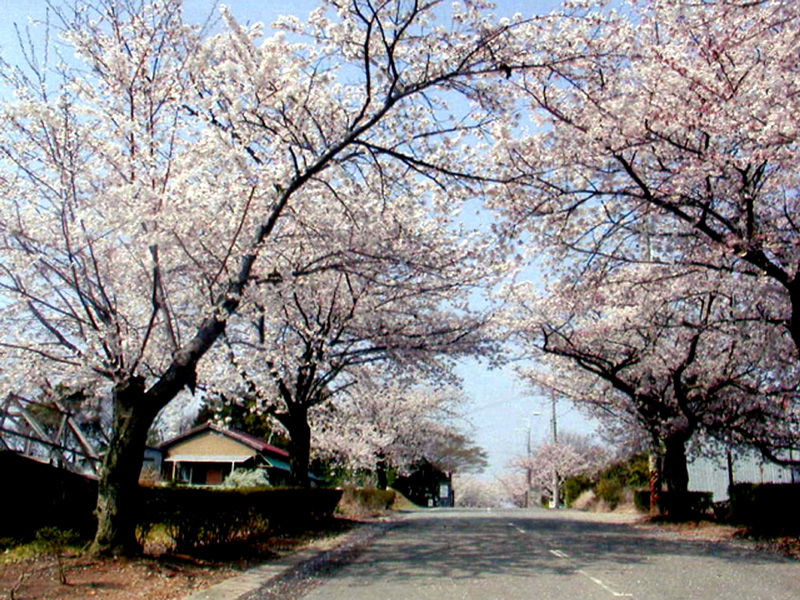 石ヶ谷墓園の写真1