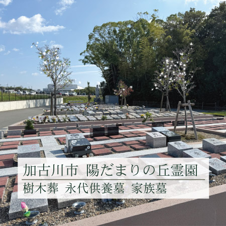 加古川市にある陽だまりの丘霊園の樹木葬墓地。整備された区画と明るい景観が特徴